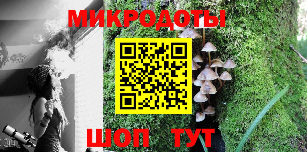 Галлюциногенные грибы прущие грибы  Галлюциногенные грибы GOLDEN TEACHER  Вход с VPN  Волгоград 