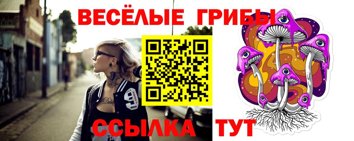 Галлюциногенные грибы MAGIC MUSHROOMS Волгоград